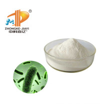 Health Supplements Probiotics Powder Lactobacillus Casei